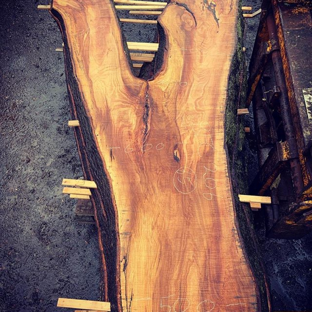 Just one more because it’s so stunning #alaskanmill #chainsaw #stihl #ms880 #sawmill #sawmillbusiness #woodpreneur